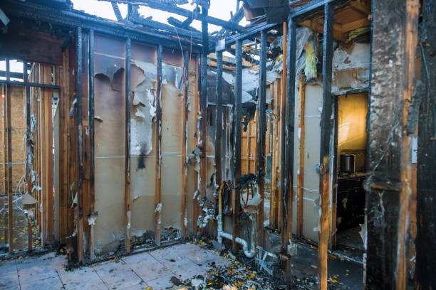 Professional Fire Damage Restoration technician working in Elk Plain, WA